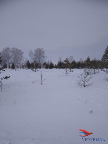 Земельный участок поселок Баженово в Лобне - lobnya.yutvil.ru - фото 2 Земельный участок поселок Баженово в Лобне - lobnya.yutvil.ru - фото 2