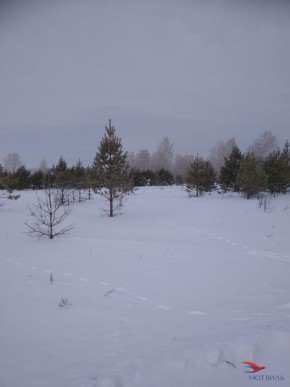Баженово ул Южная д 7 в Лобне - lobnya.yutvil.ru - фото 5