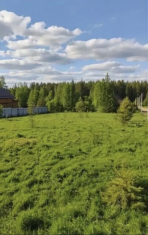 ДП Родной в Лобне - lobnya.yutvil.ru - фото 4
