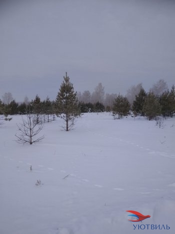 Земельный участок поселок Баженово в Лобне - lobnya.yutvil.ru - фото 5 Земельный участок поселок Баженово в Лобне - lobnya.yutvil.ru - фото 5
