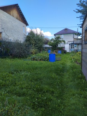 Коллективный сад номер 7, участок 58 в Лобне - lobnya.yutvil.ru - фото 26 Коллективный сад номер 7, участок 58 в Лобне - lobnya.yutvil.ru - фото 26