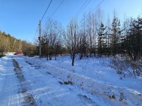 СНТ Весна, участок 15 б в Лобне - lobnya.yutvil.ru - фото 3 СНТ Весна, участок 15 б в Лобне - lobnya.yutvil.ru - фото 3