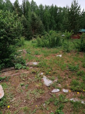СТН Семья №112, Верхняя пышма на землях бывшего подсобного хозяйтва верхнепышминского опытного завода в Лобне - lobnya.yutvil.ru - фото 17 СТН Семья №112, Верхняя пышма на землях бывшего подсобного хозяйтва верхнепышминского опытного завода в Лобне - lobnya.yutvil.ru - фото 17
