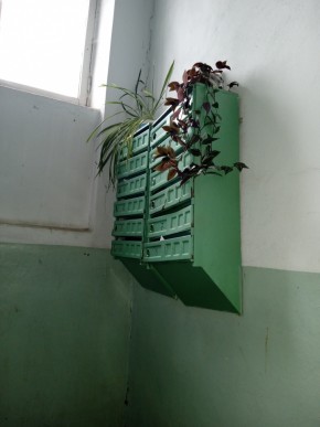 ул. Бажова,11 в Лобне - lobnya.yutvil.ru - фото 2 ул. Бажова,11 в Лобне - lobnya.yutvil.ru - фото 2