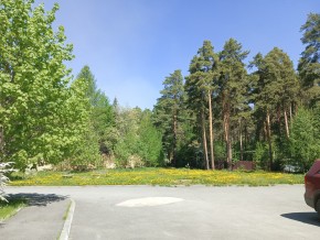 ул. Сосновая, 8 в Лобне - lobnya.yutvil.ru - фото 26 ул. Сосновая, 8 в Лобне - lobnya.yutvil.ru - фото 26