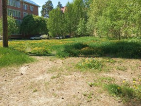 ул. Сосновая, 8 в Лобне - lobnya.yutvil.ru - фото 33 ул. Сосновая, 8 в Лобне - lobnya.yutvil.ru - фото 33